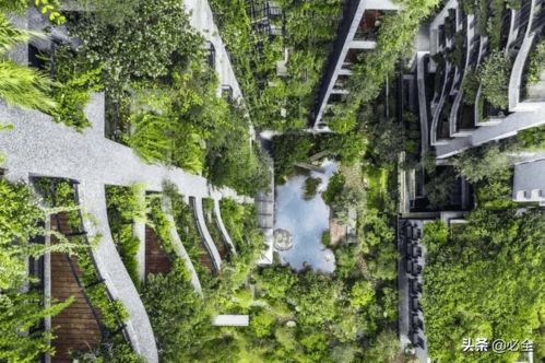 建设城市垂直绿化的好处和意义