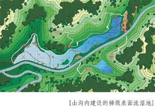 生态园区水系规划设计