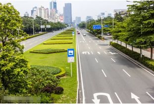 道路绿化带施工与后期维护