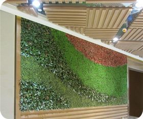 植物墙施工流程与养护管理