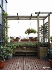 城市阳台栽培植物的技巧